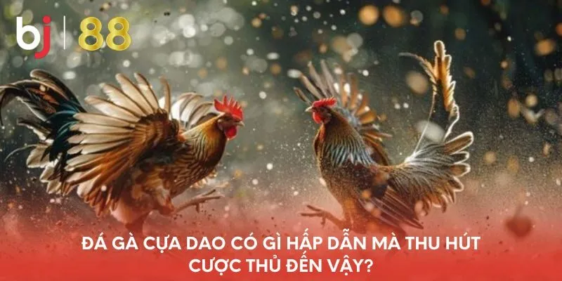 da-ga-cua-dao-co-gi-hap-dan-ma-thu-hut-cuoc-thu-den-vay