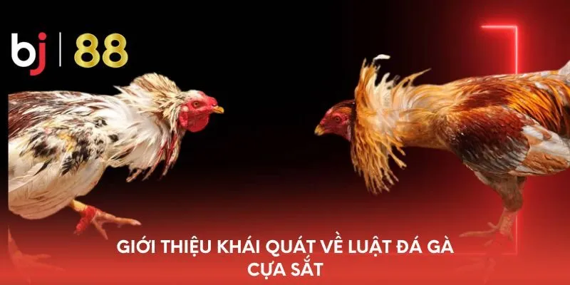 gioi-thieu-khai-quat-ve-luat-da-ga-cua-sat