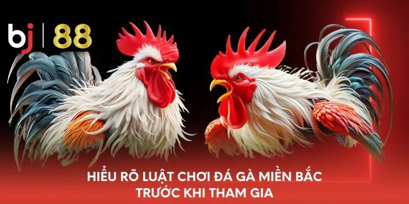 hieu-ro-luat-choi-da-ga-mien-bac-truoc-khi-tham-gia