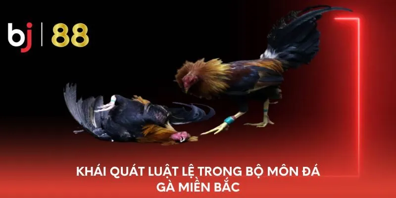 khai-quat-luat-le-trong-bo-mon-da-ga-mien-bac