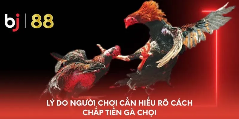 ly-do-nguoi-choi-can-hieu-ro-cach-chap-tien-ga-choi