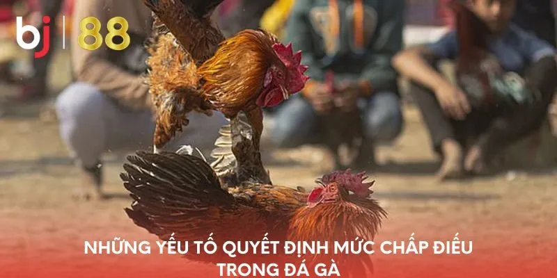 nhung-yeu-to-quyet-dinh-muc-chap-dieu-trong-da-ga