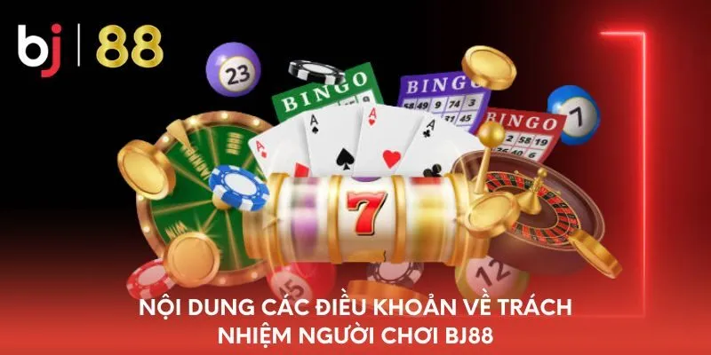 noi-dung-cac-dieu-khoan-ve-trach-nhiem-nguoi-choi-bj88