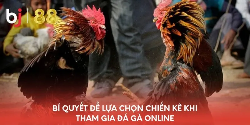 bi-quyet-de-lua-chon-chien-ke-khi-tham-gia-da-ga-online