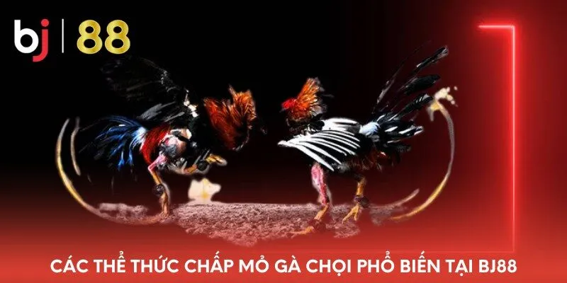 cac-the-thuc-chap-mo-ga-choi-pho-bien-tai-bj88