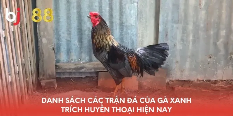 danh-sach-cac-tran-da-cua-ga-xanh-trich-huyen-thoai-hien-nay