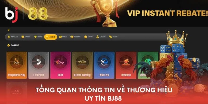 Tổng quan thông tin về thương hiệu uy tín BJ88 